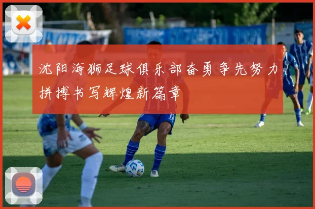 沈阳海狮足球俱乐部奋勇争先努力拼搏书写辉煌新篇章