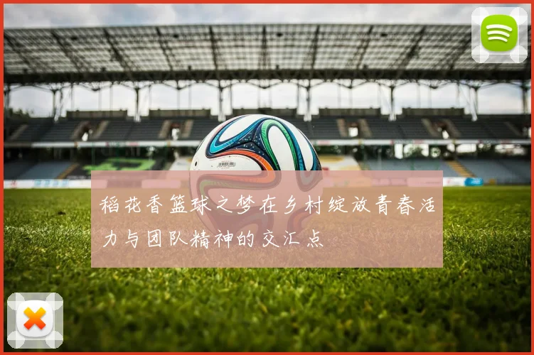 稻花香篮球之梦在乡村绽放青春活力与团队精神的交汇点