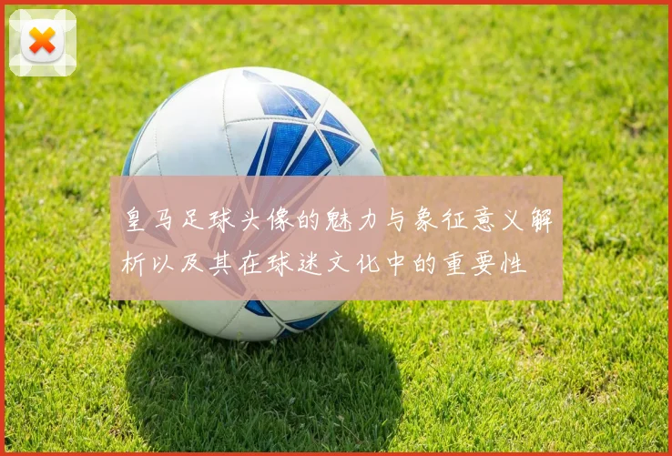 皇马足球头像的魅力与象征意义解析以及其在球迷文化中的重要性