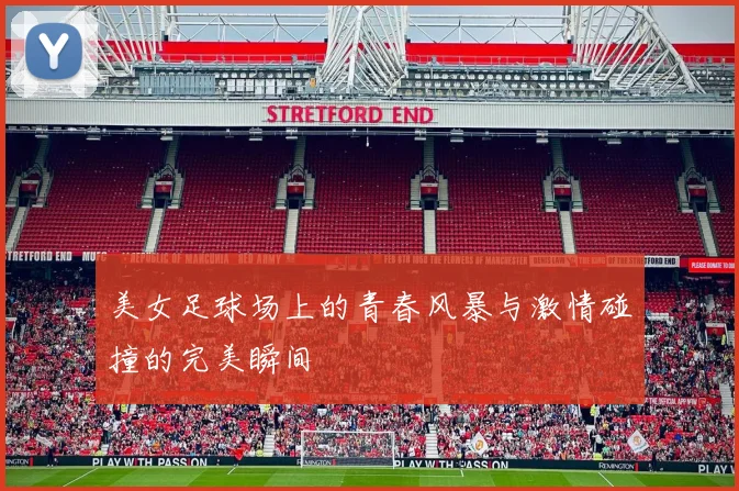 美女足球场上的青春风暴与激情碰撞的完美瞬间