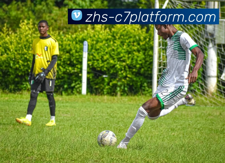 c7娱乐平台生态图