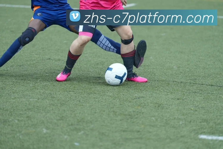 c7娱乐APP 封面图